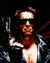 Arnoldschwarzeneggertheterminator